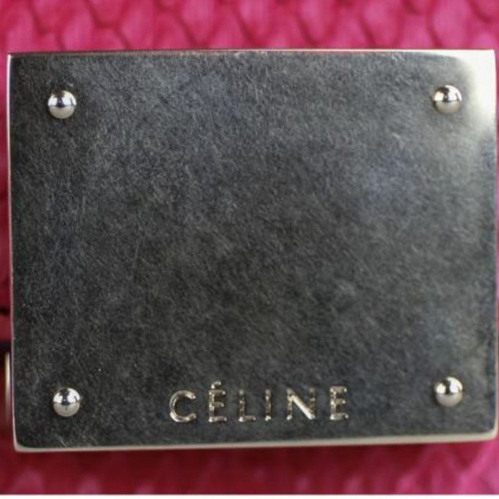 Celine Trapeze Python/Suede Satchel Bag - Picture 7 of 7